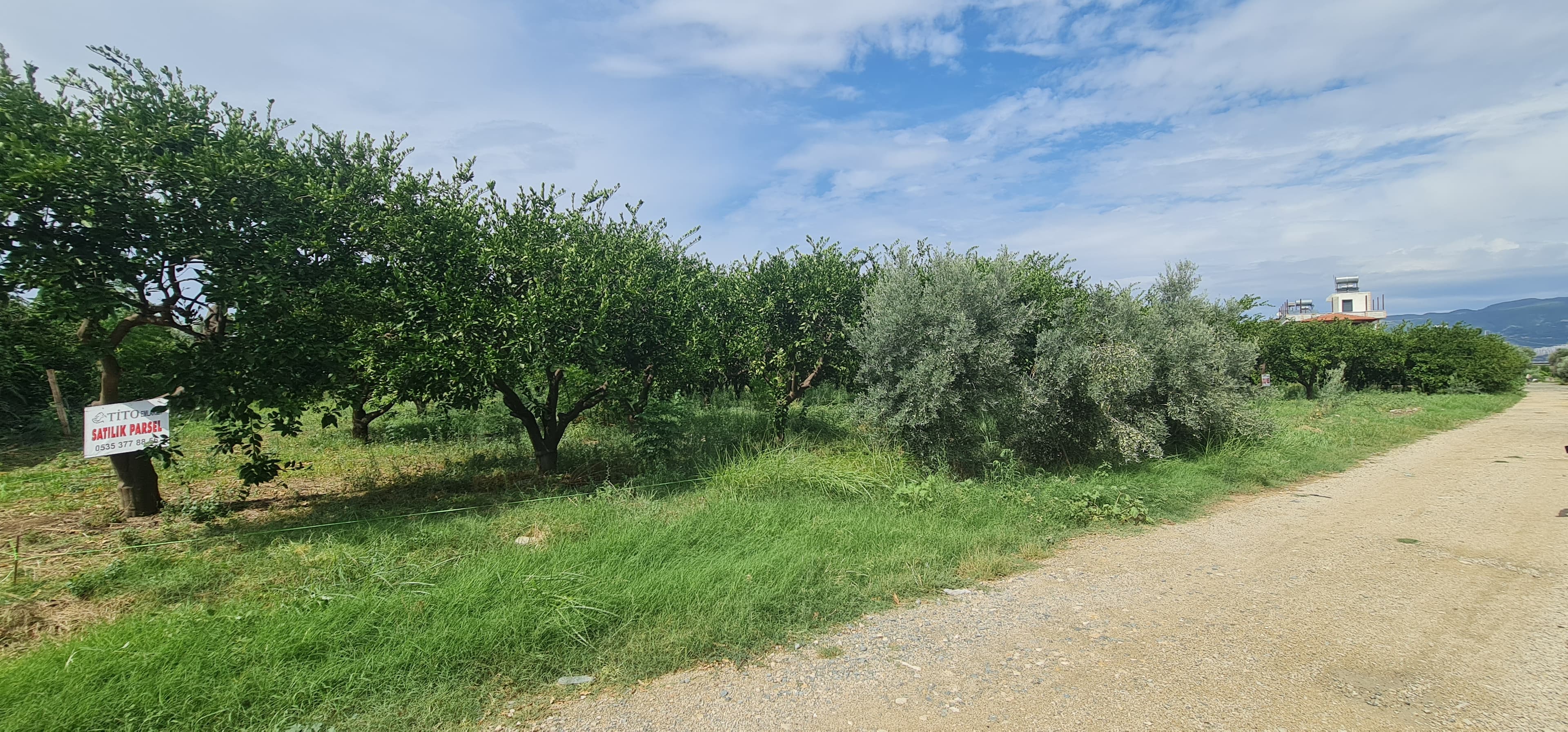 Yeni Mahalle'de Yola Cepheli Köşe Parsel