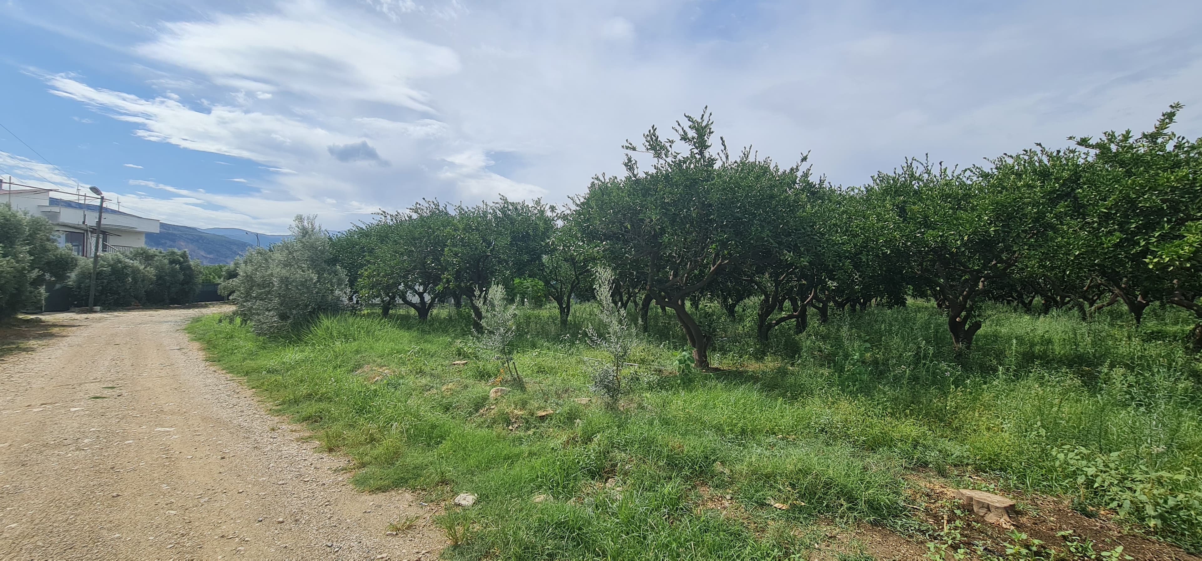Yeni Mahalle'de Yola Cepheli Köşe Parsel