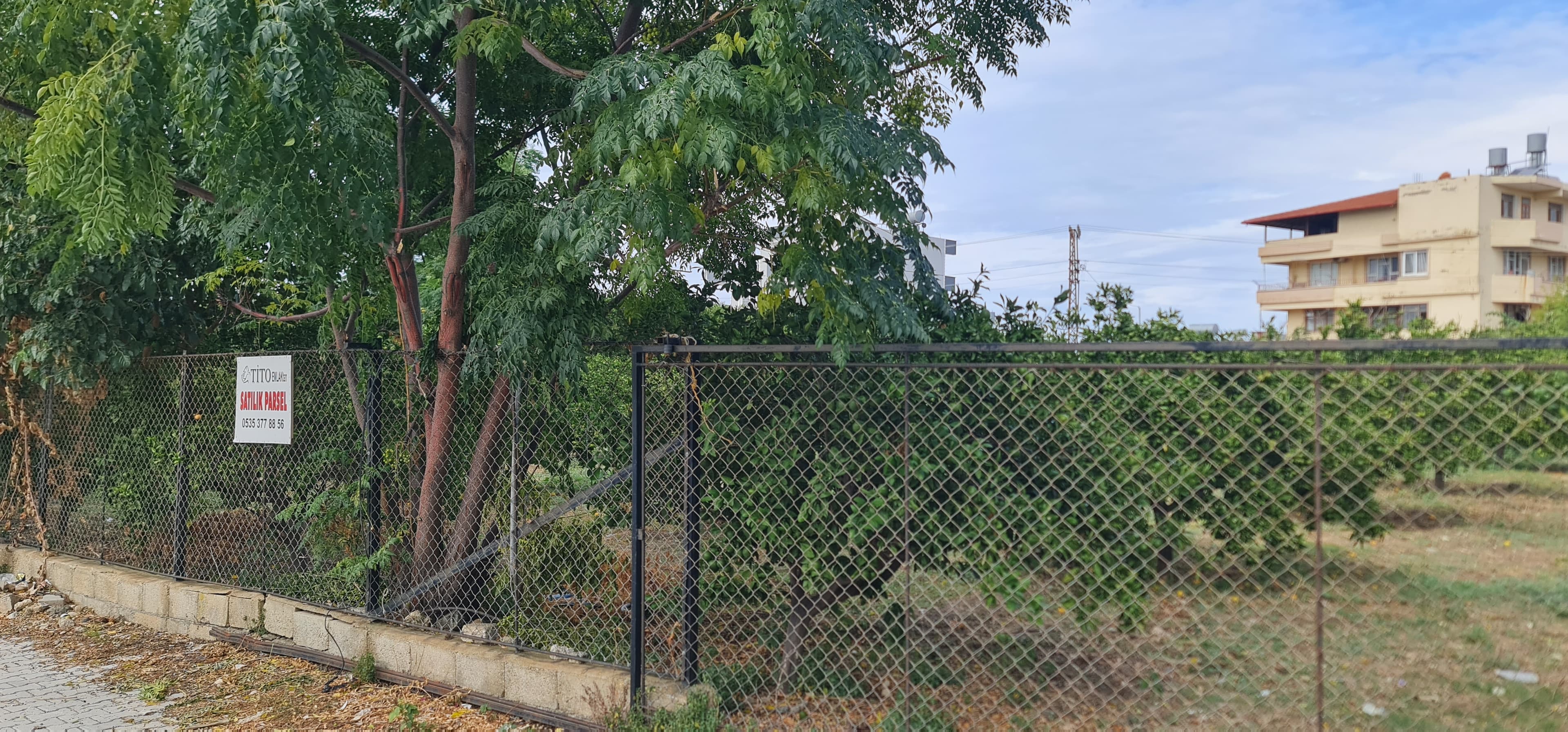 YENİ MAHALLE YAĞMUR ÇOBANCI ÜSTÜ TEPEDE