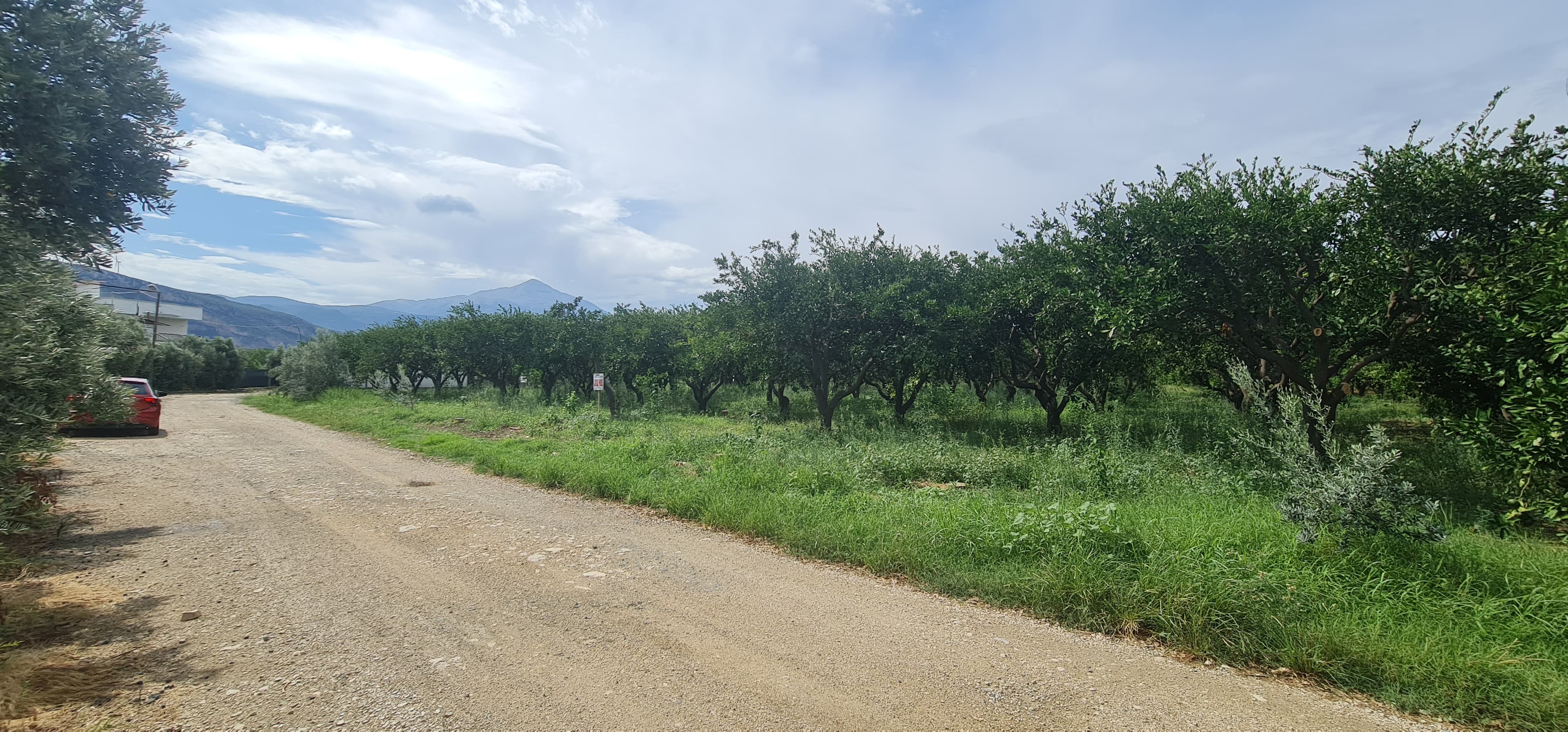 Yeni Mahalle'de Yola Cepheli Parsel