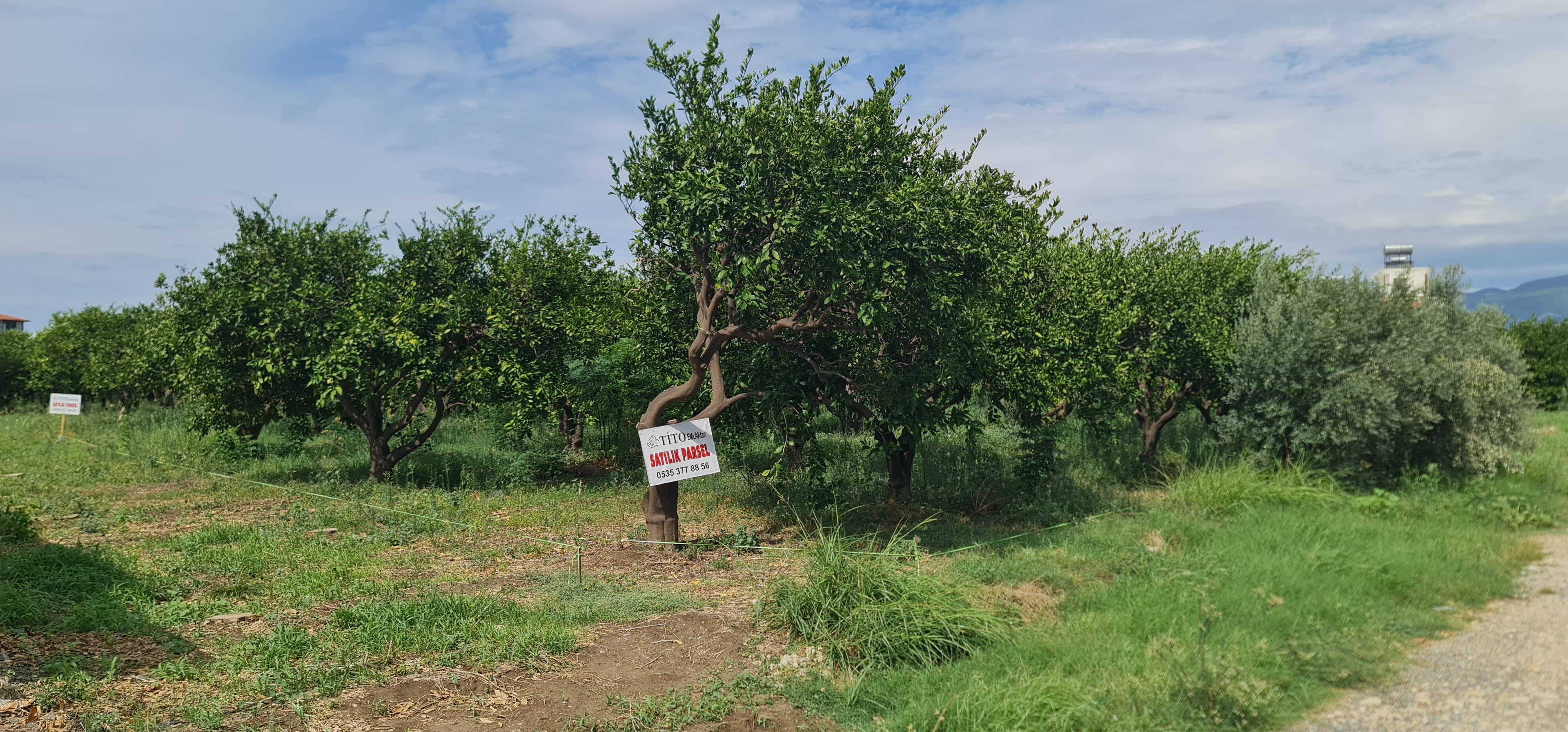 Yeni Mahalle'de Yola Cepheli Köşe Parsel